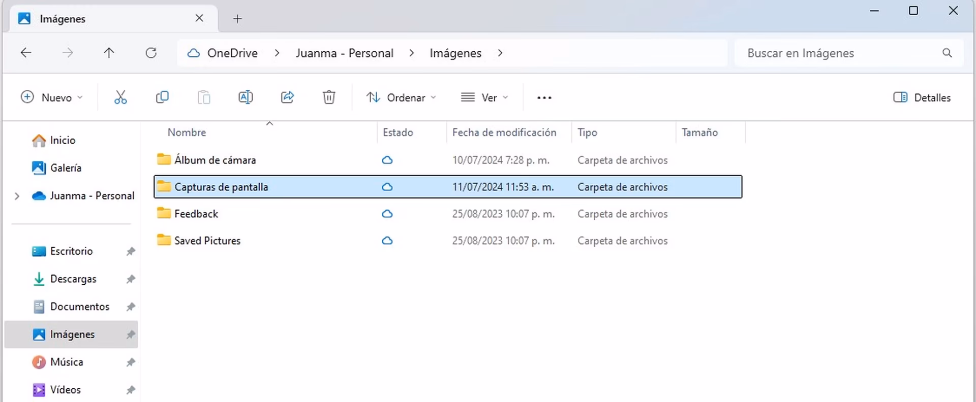 ¿Cómo hacer una captura de pantalla de una aplicación?