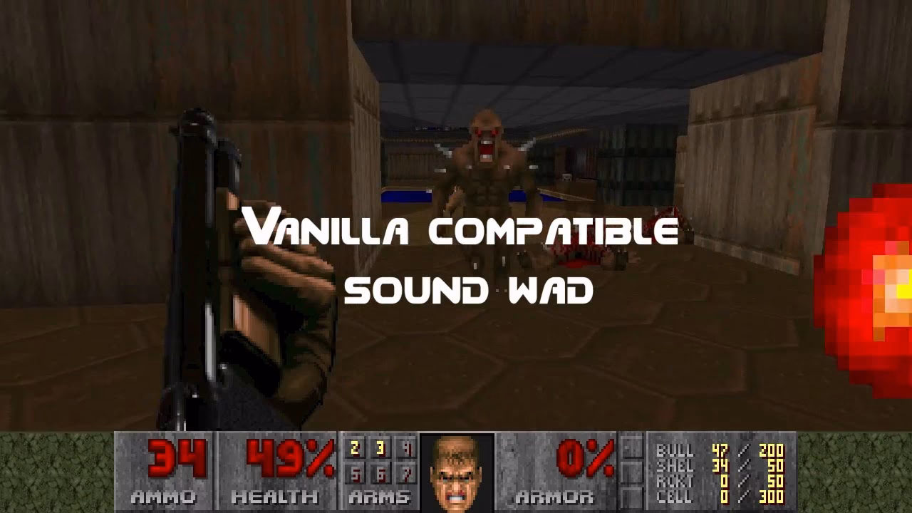 Can GZDoom run a WAD file?