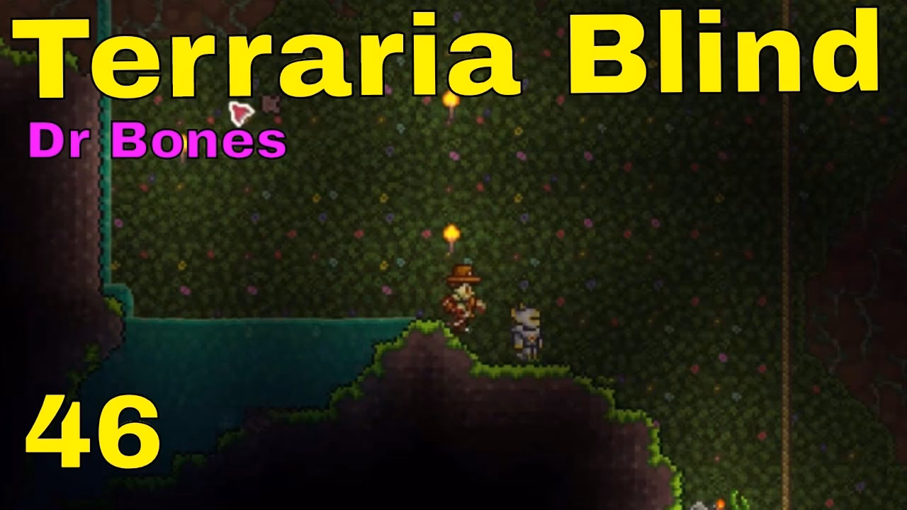Does doctor Bones jump up or down in terraria?