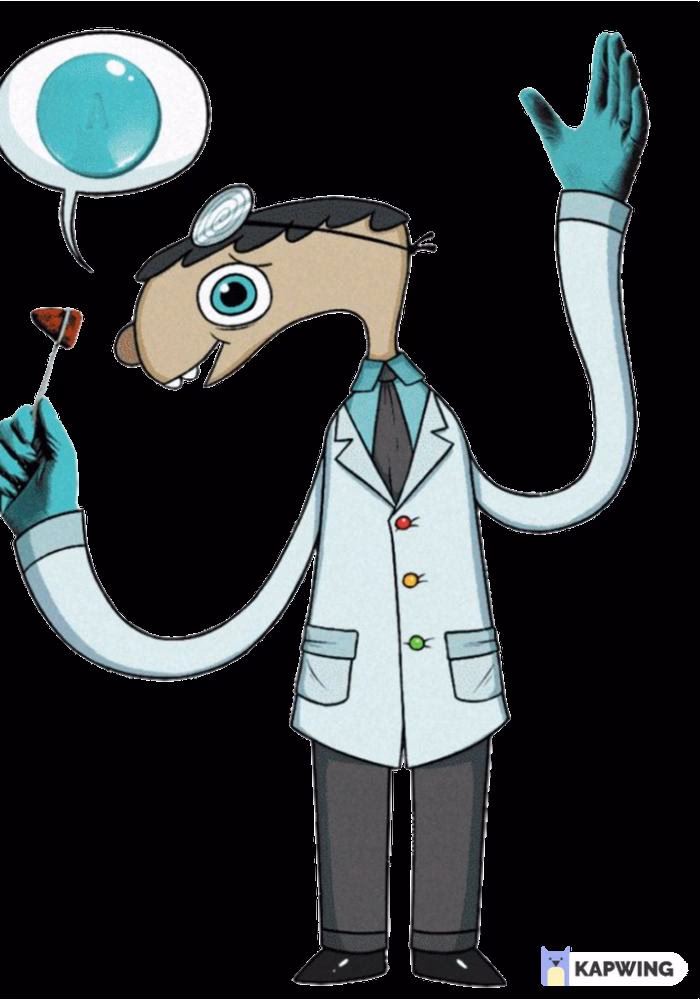 When does Dr reflex play?