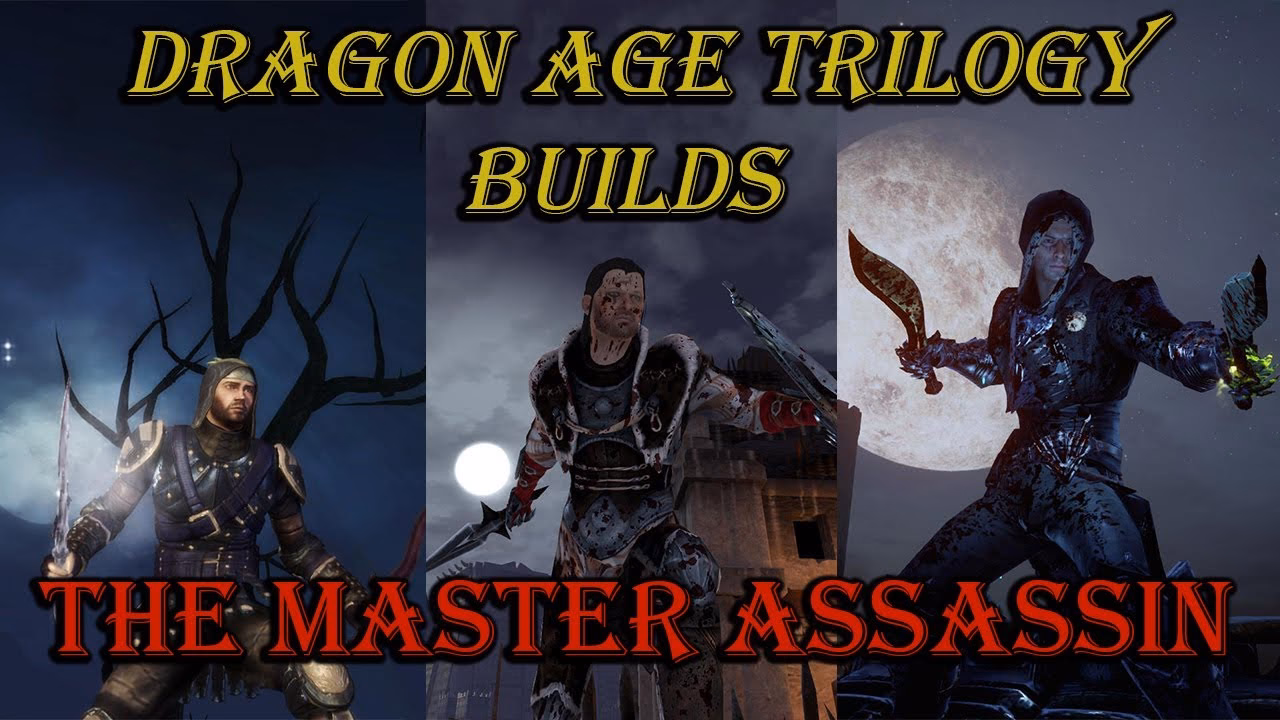 What is the assassin specialization in Dragon Age Origins?