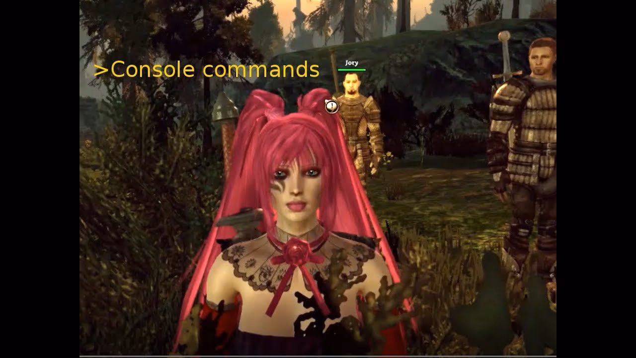 Why are my console commands not working in Dragon Age Origins?