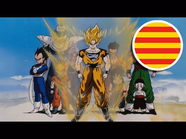 Is there a French version of Dragon Ball Z?