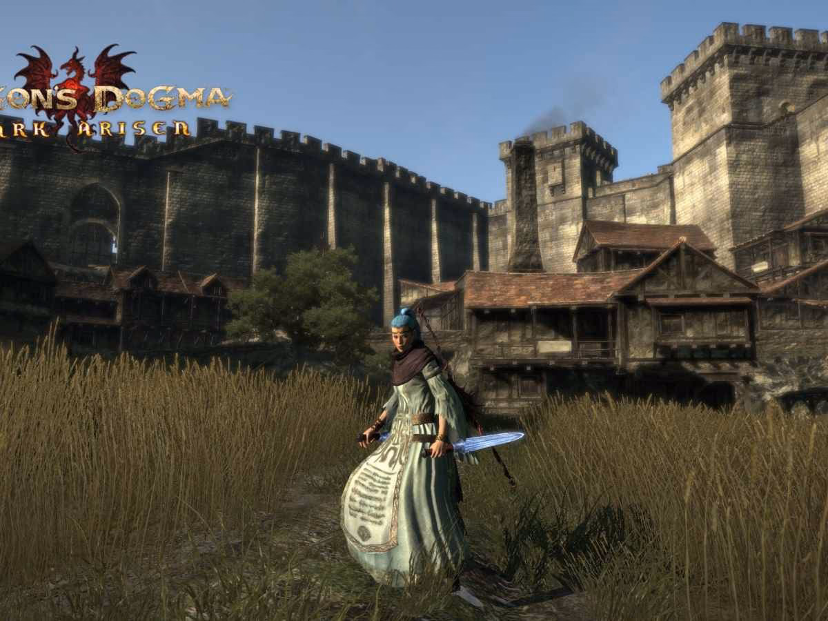 Can You solo Dragon's Dogma Dark Arisen without pawns?