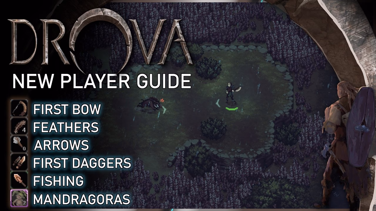 Is drova a 2D game?