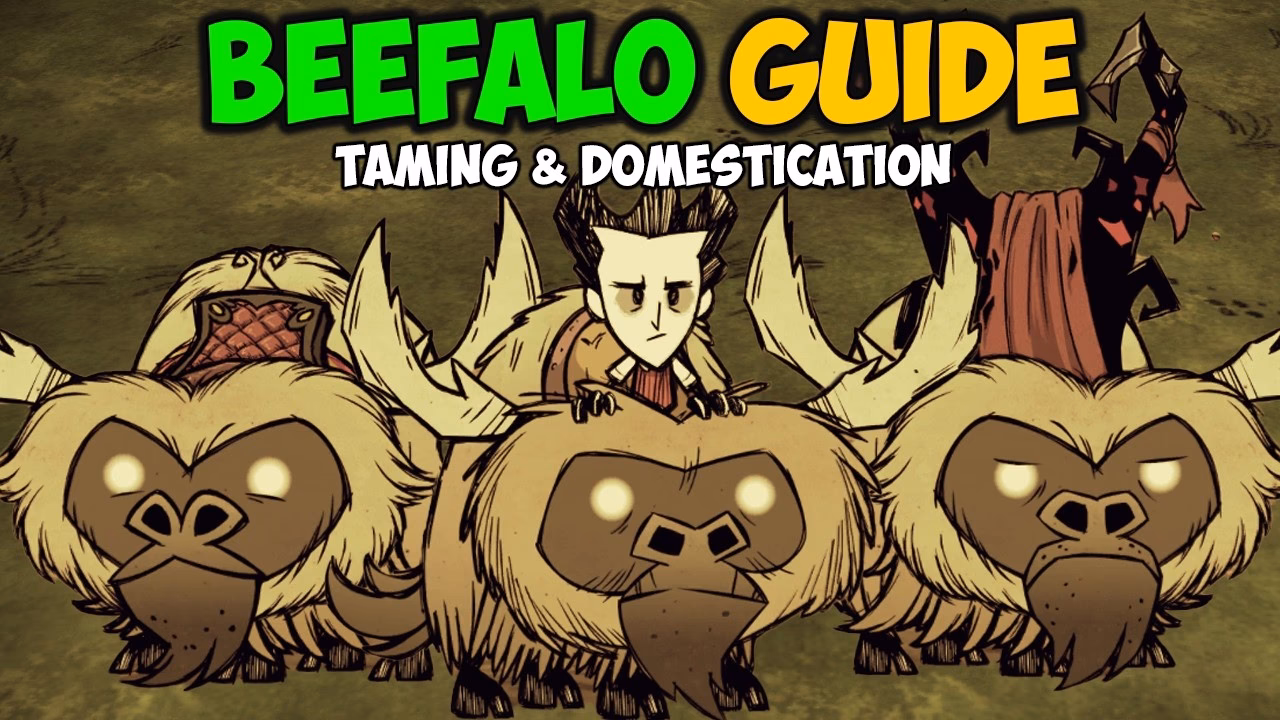 Does beefalo slow down a tamed beefalo?