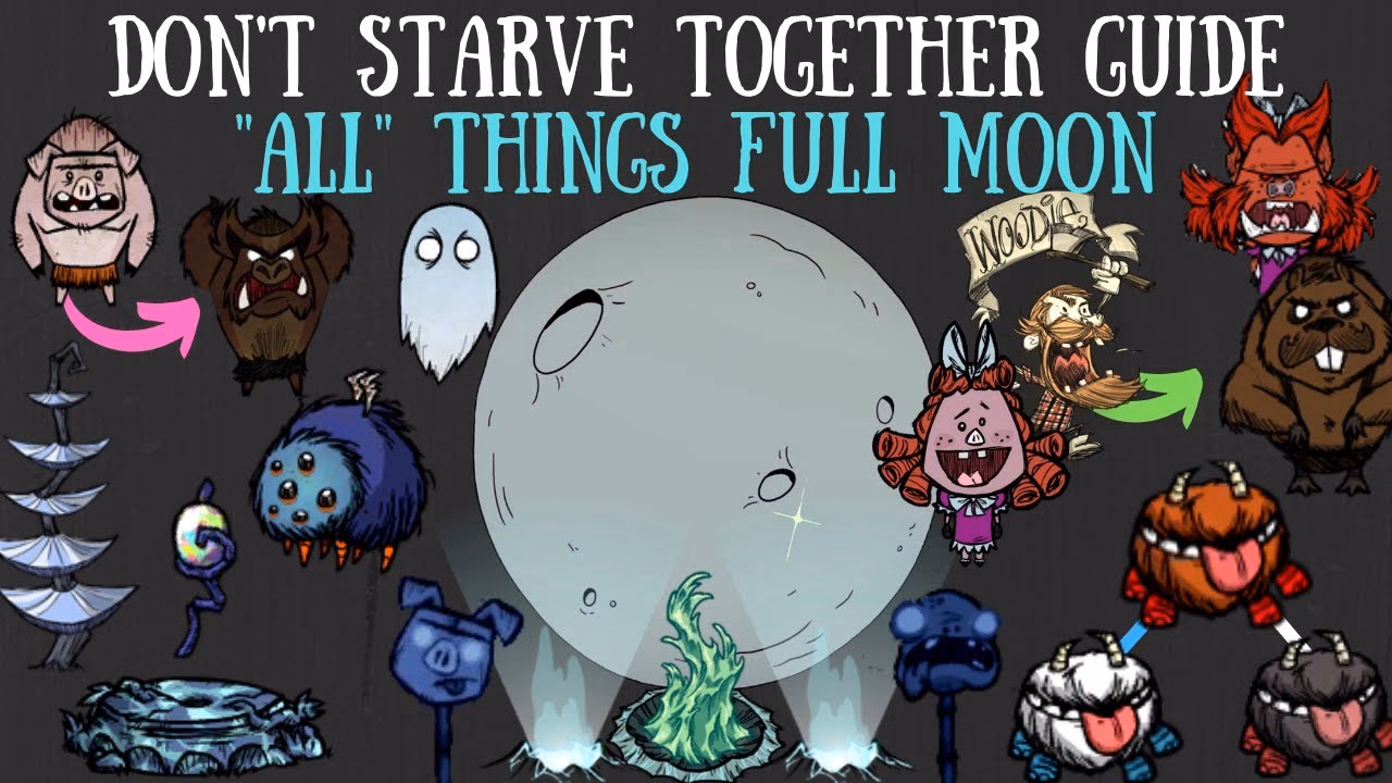 What is the moon cycle?