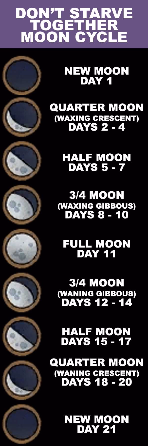 What is the moon cycle?