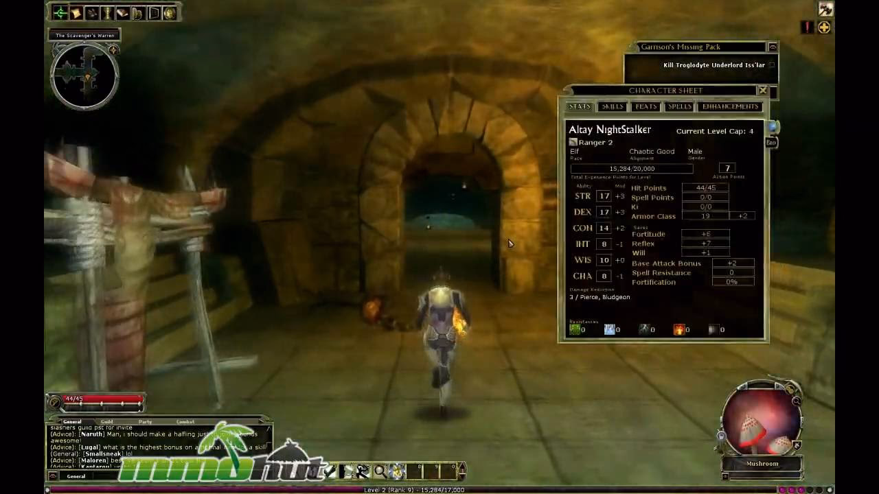 Is Dungeons & Dragons Online based on D&D?