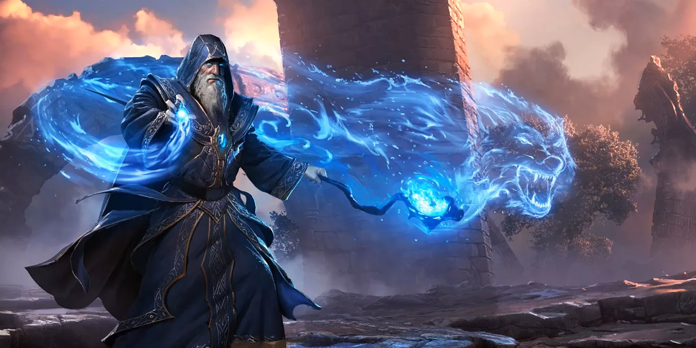 What does a wizard do?