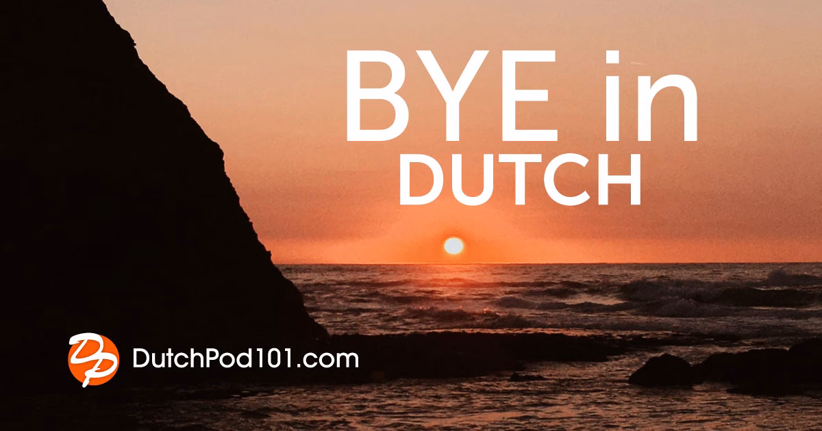 What is the Dutch word for Bye?
