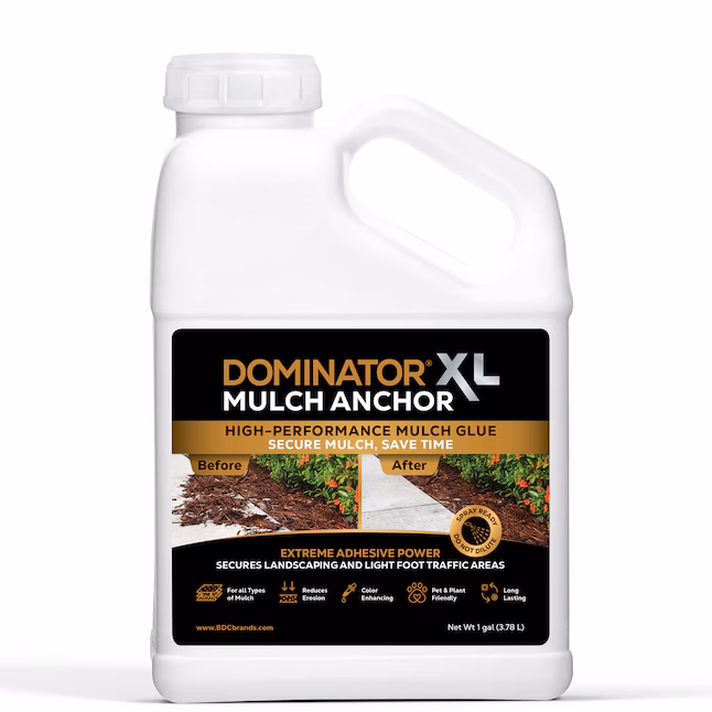 What is a Dominator class?