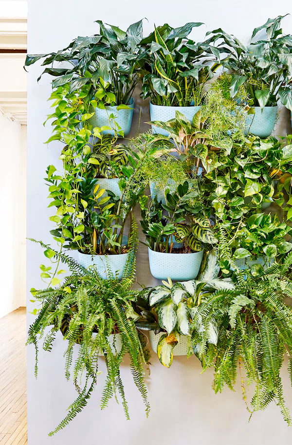 What are eco pots?