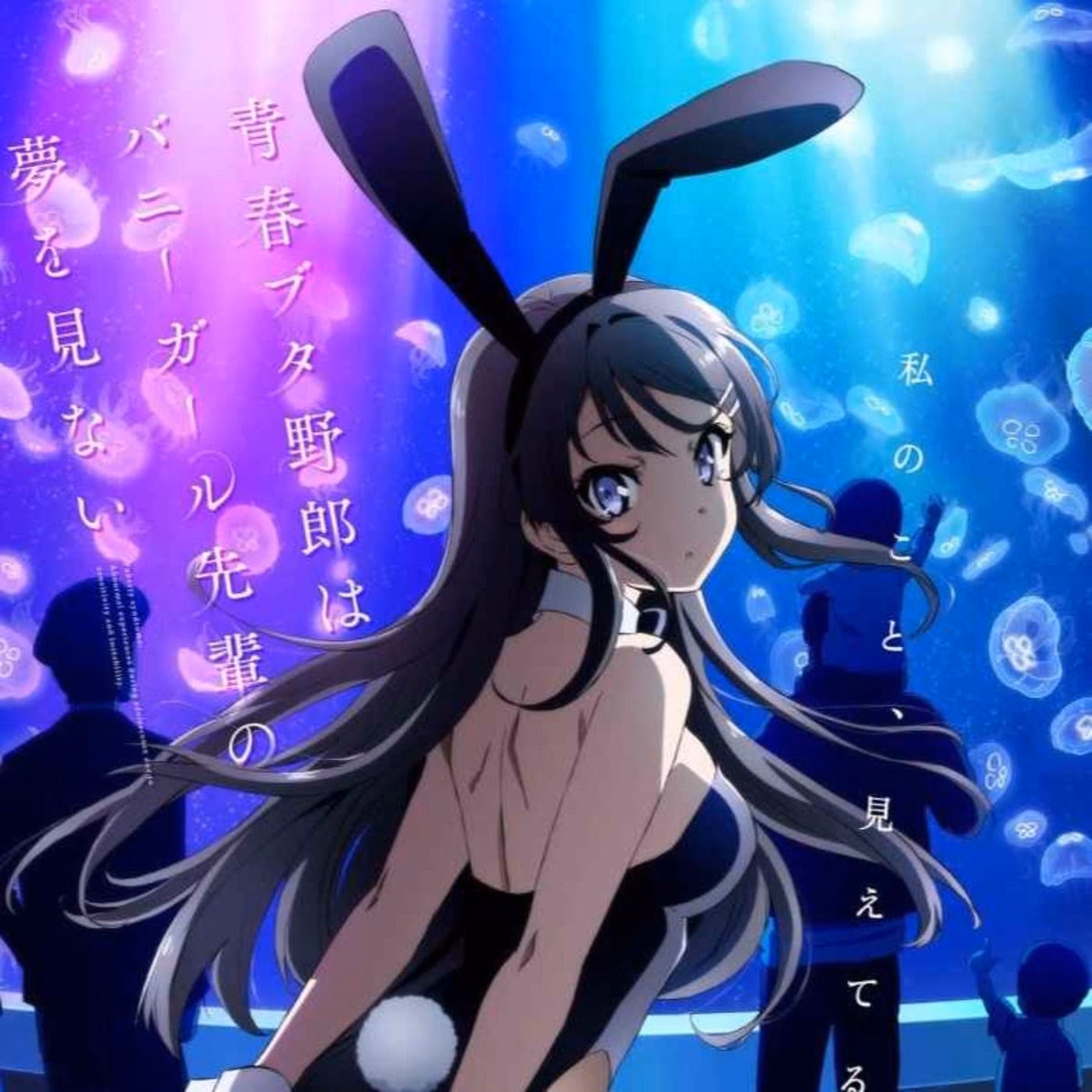 ¿Qué trata Seishun Buta Yarou Wa Yumemiru?