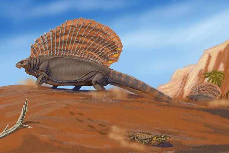¿Quién reconstruyó a Edaphosaurus como 'naosaurus'?