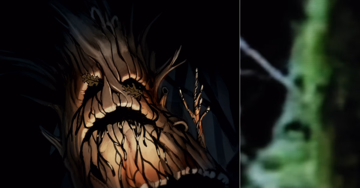 What are Edelwood trees?