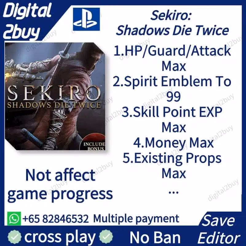 How do I set up a Sekiro save file?
