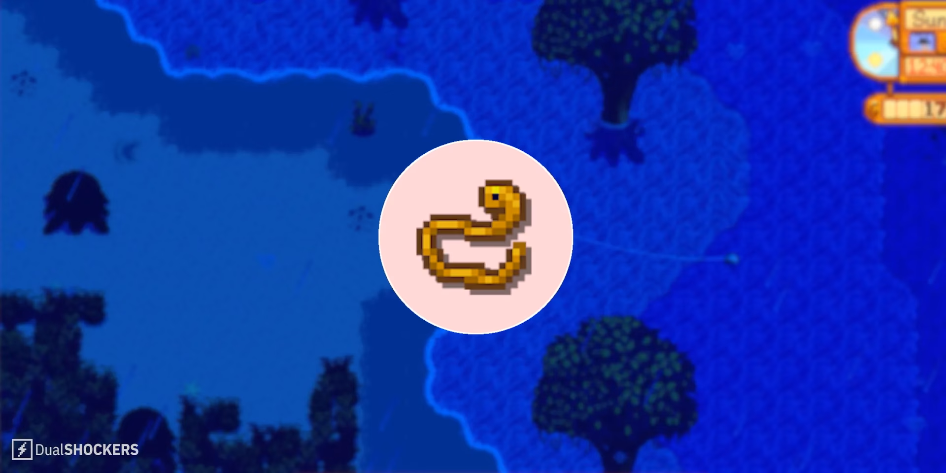 What is the eel in Stardew Valley?