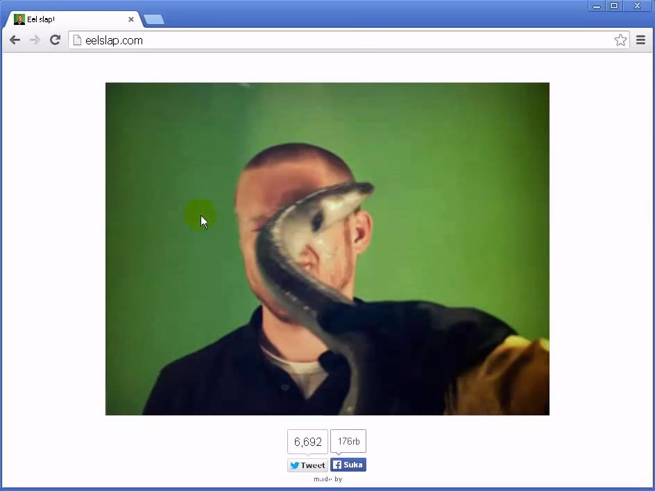 What is eel slap online?