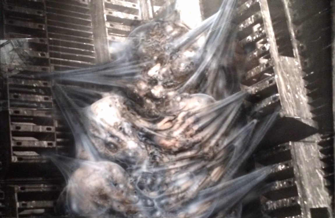 What happened to the egg morphing scene in alien?