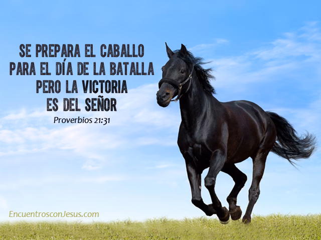 ¿Qué quiere decir se prepara al caballo para el día de la batalla?