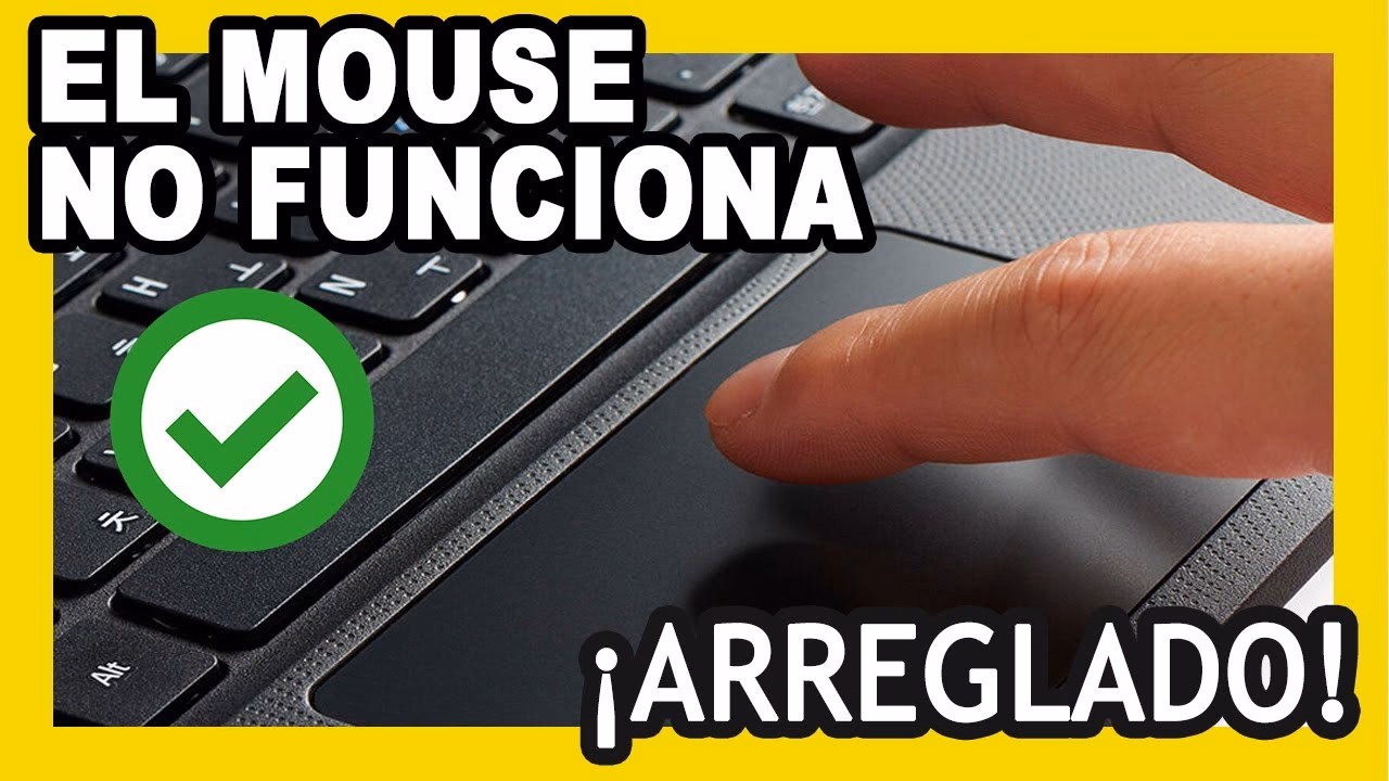 ¿Qué hacer si mi Mouse no funciona?