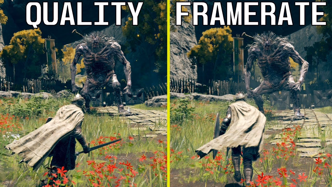 How to display FPS in Elden Ring?