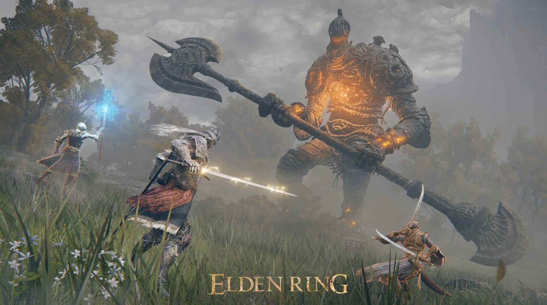 How do I check if my PC meets the Elden Ring requirements?