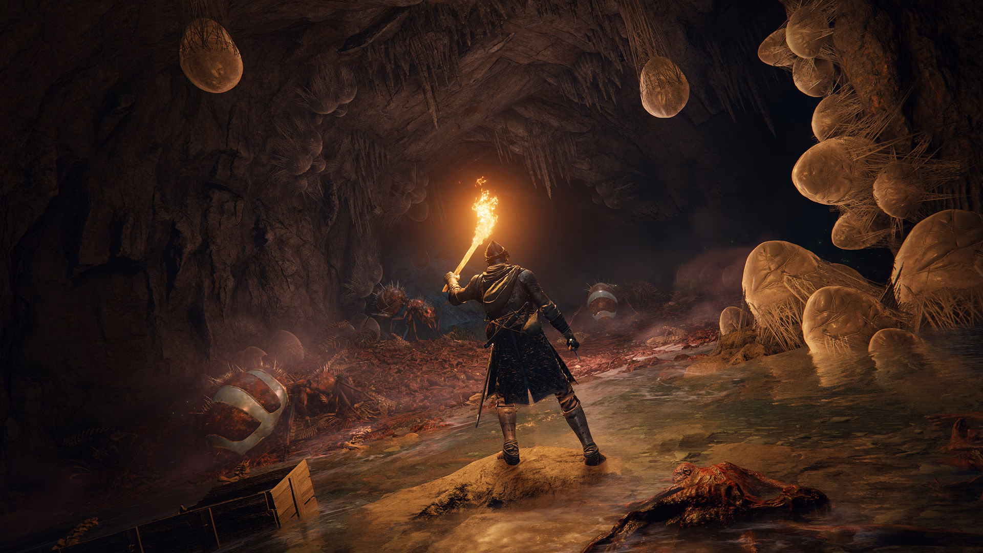 Where is my Elden Ring save file?