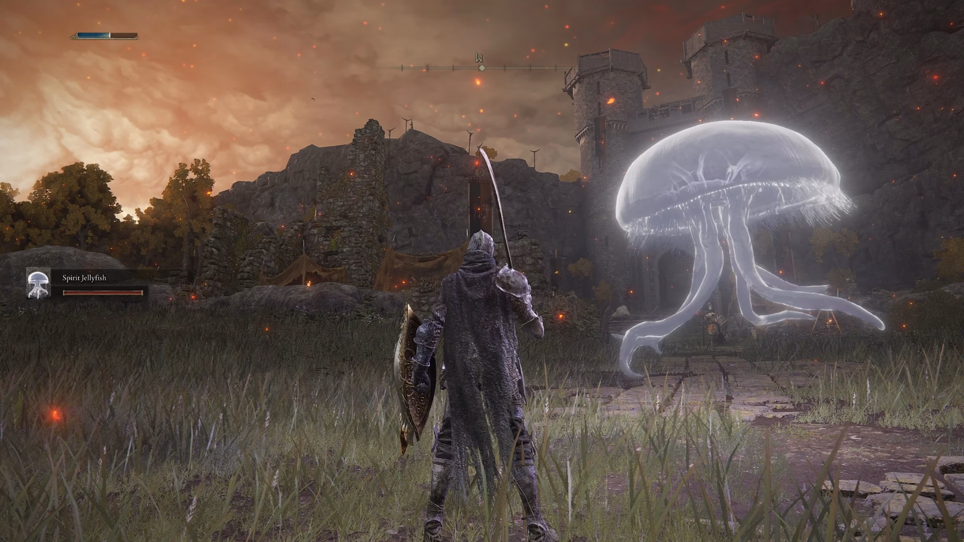 What are spirit ashes in Elden Ring?