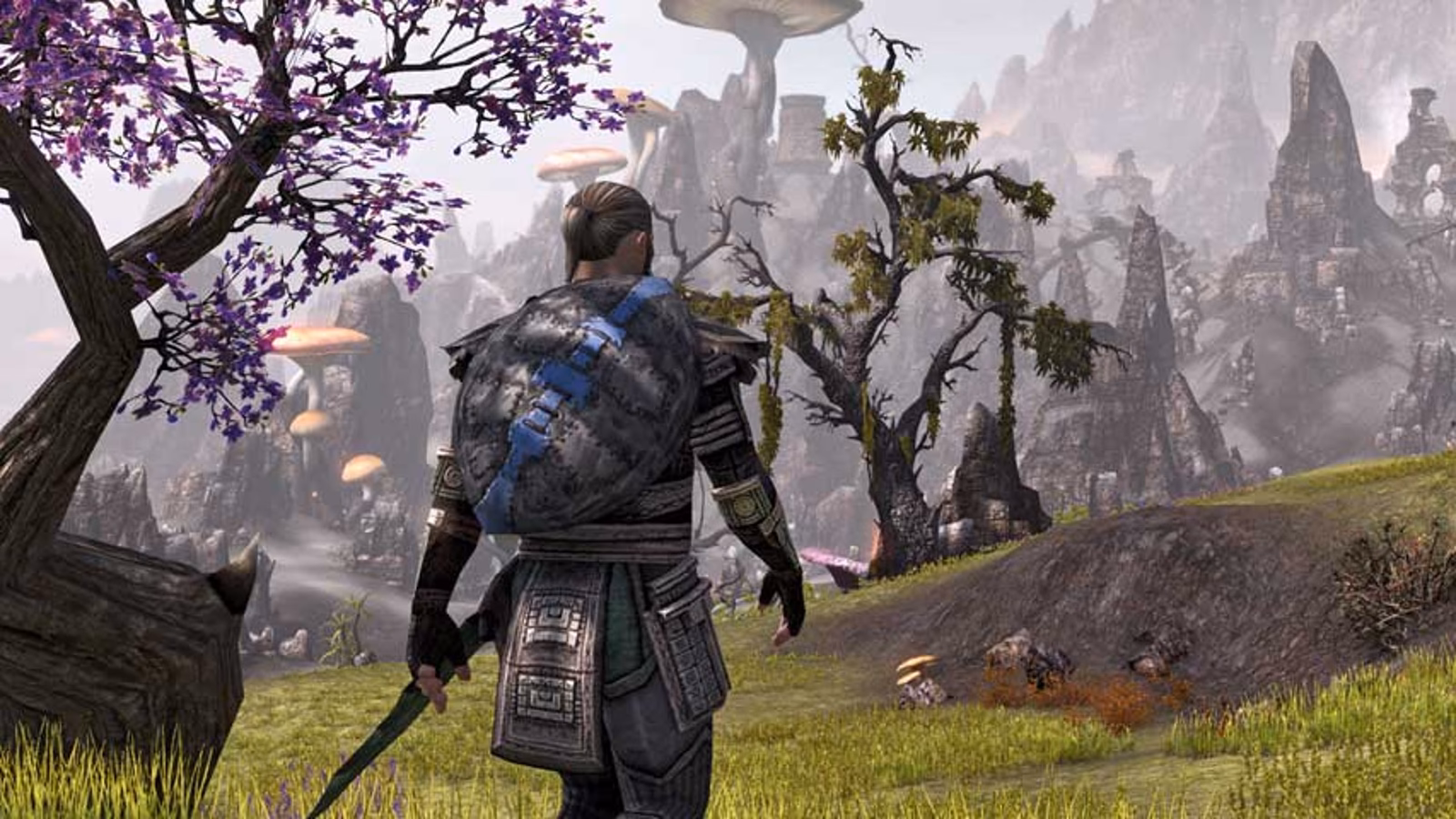 Is the Elder Scrolls Online changing in 2025?