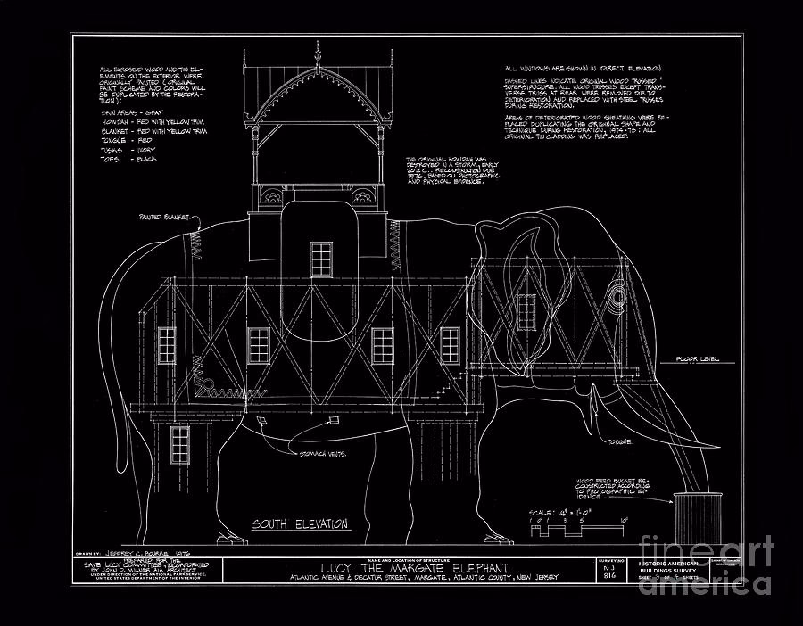 How many free elephant 3D models are there?