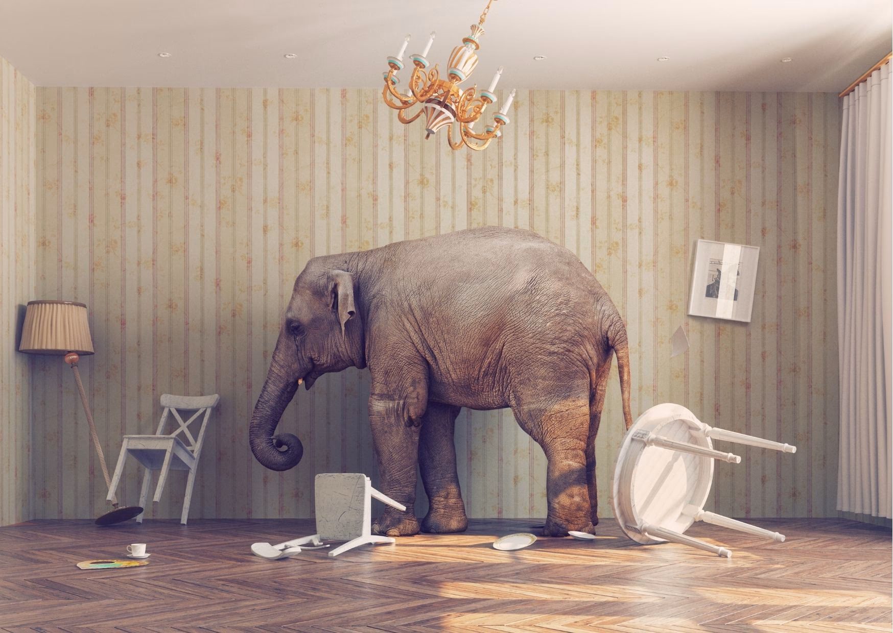 What was the big elephant in the room?