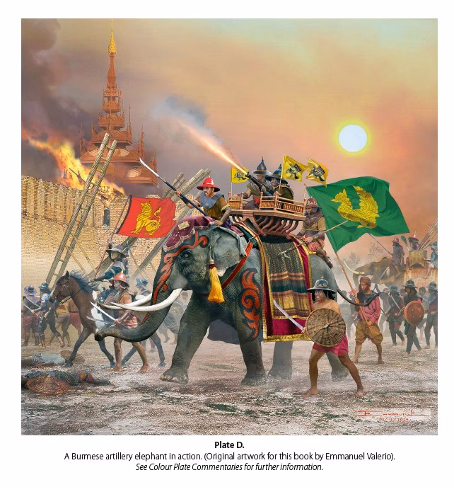 Did war elephants play a military support role in WW2?