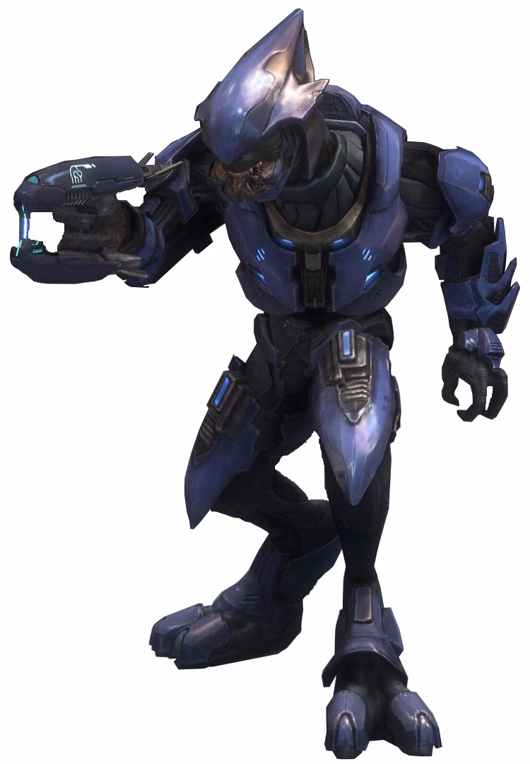 Who are elites in Halo 2?