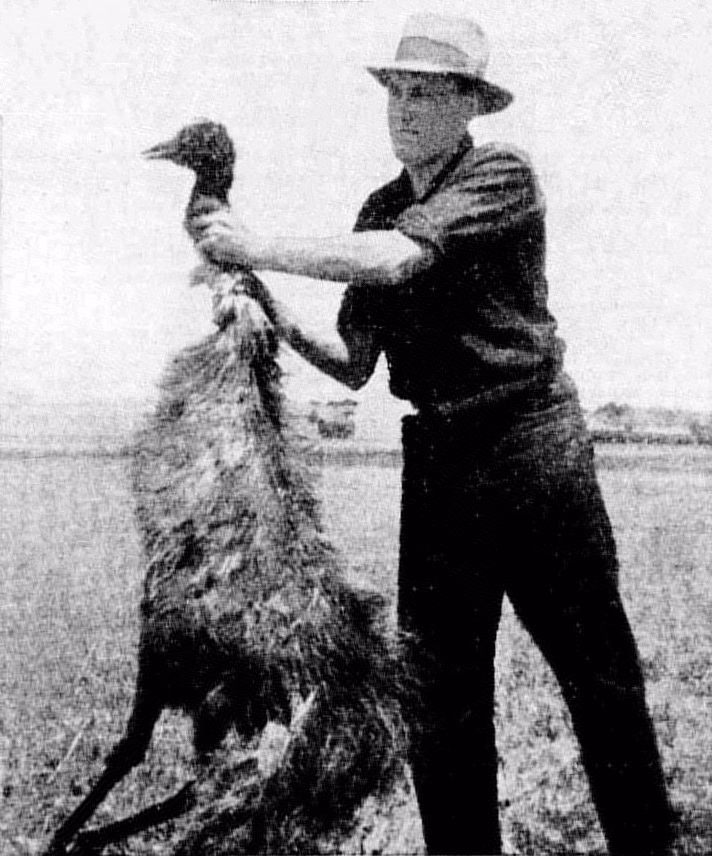 Who is EMU?