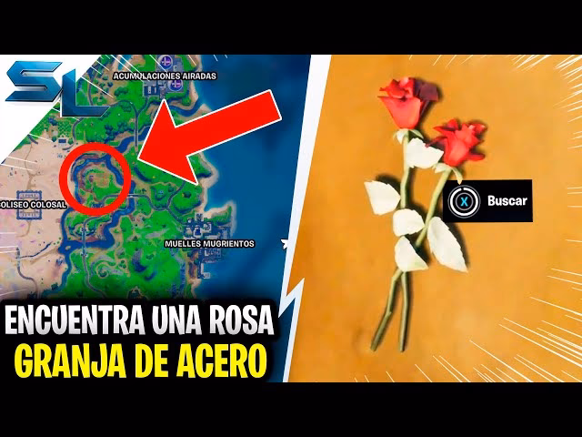 ¿Qué es la granja rosa flor?