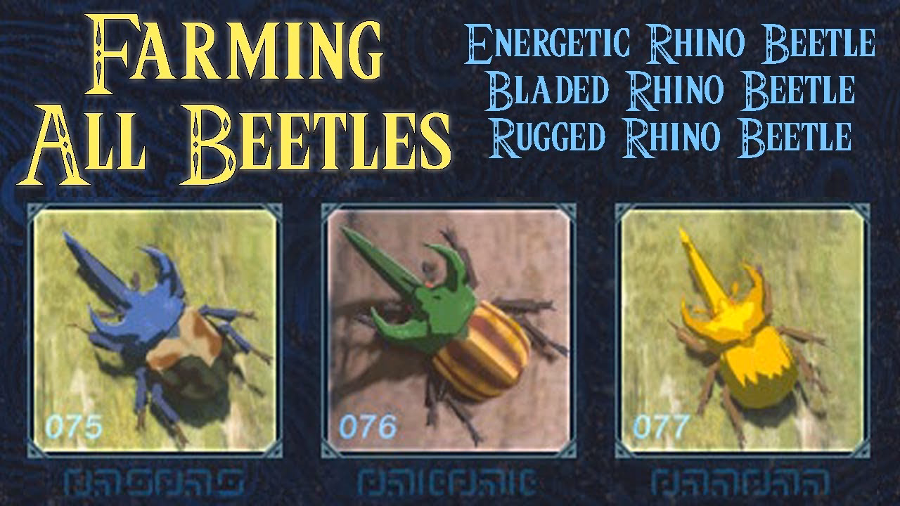 Where to find energetic Rhino beetles in Zelda Tears of the Kingdom?