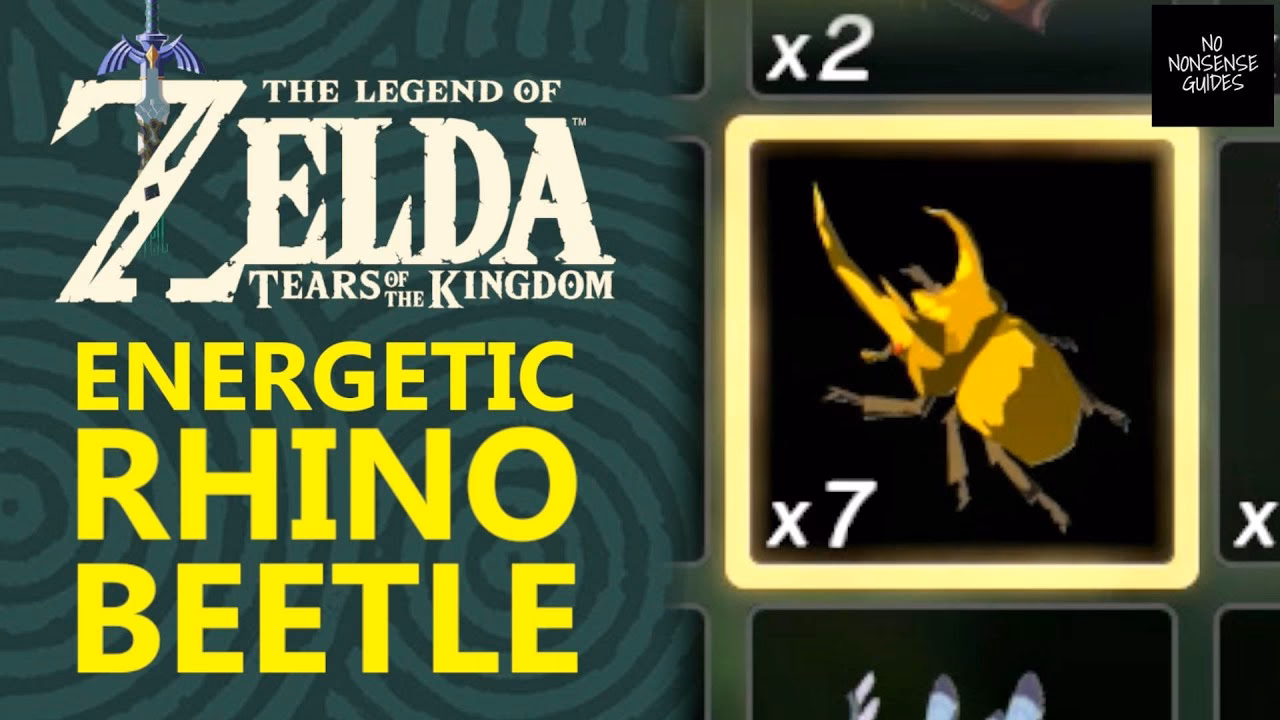 Where to find energetic Rhino beetles in Zelda Tears of the Kingdom?