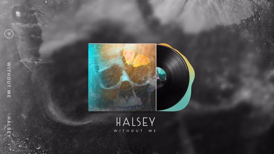 Can I use the audio visualizer overlay?