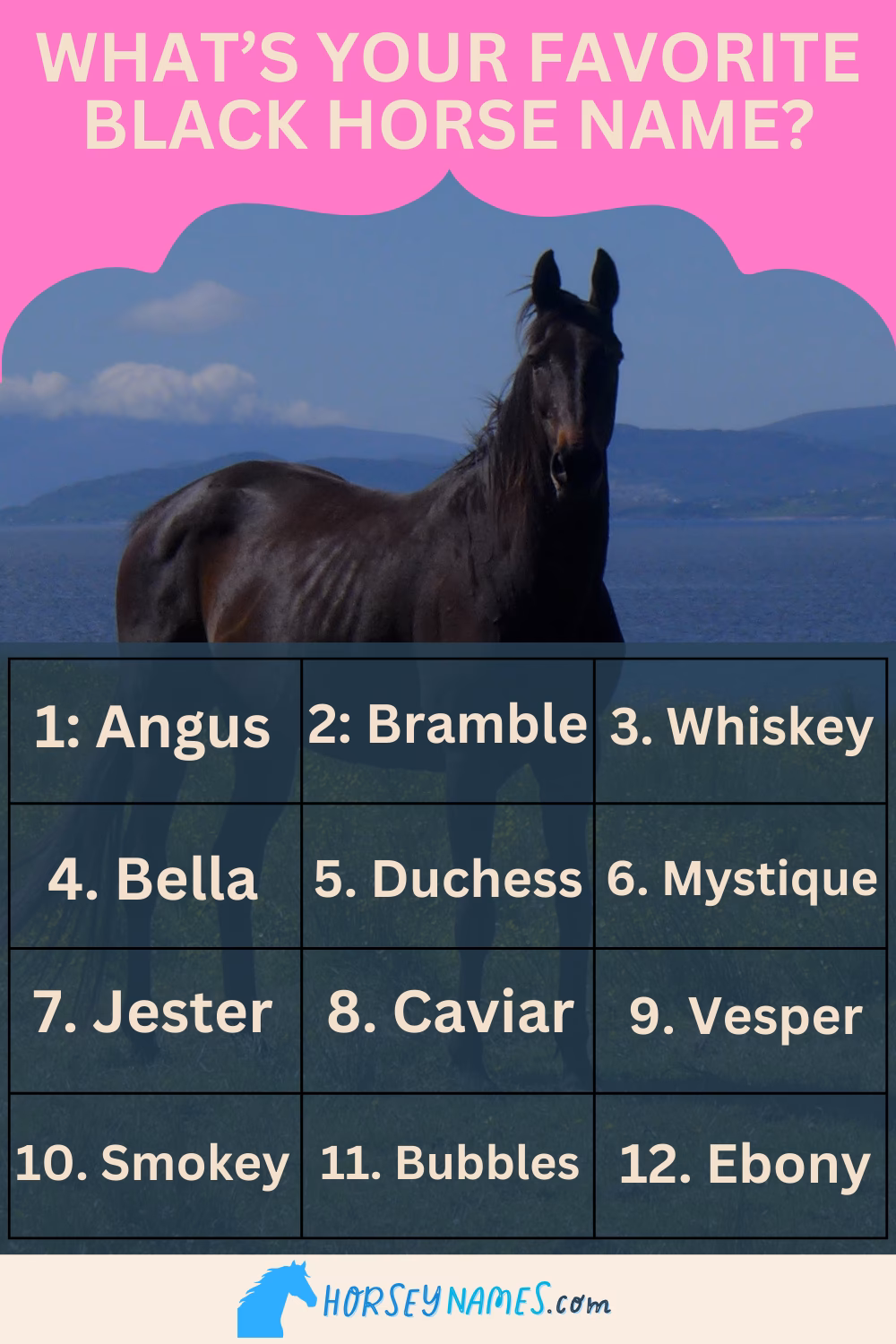 What is a good name for a horse?