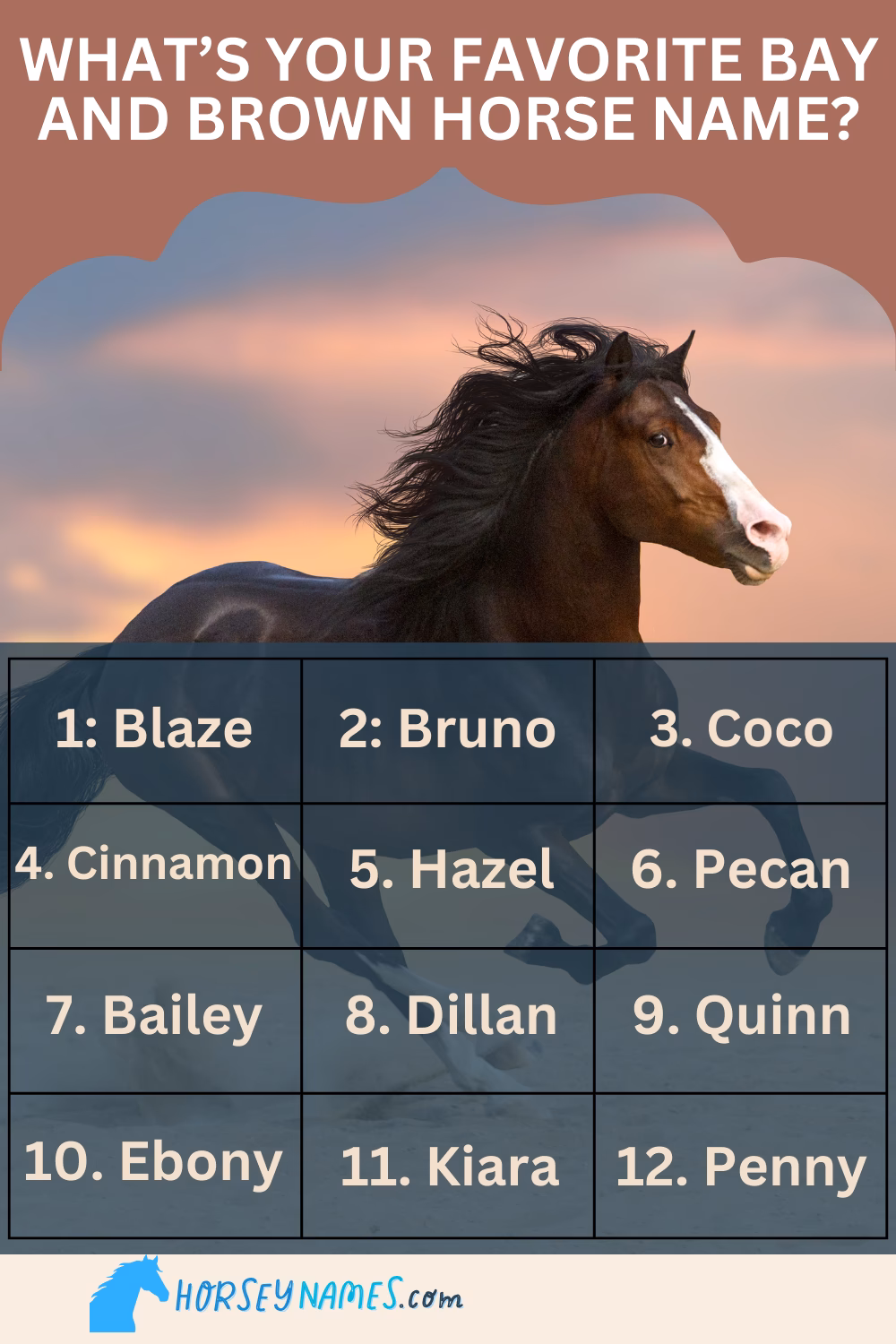 What does a horse name mean?