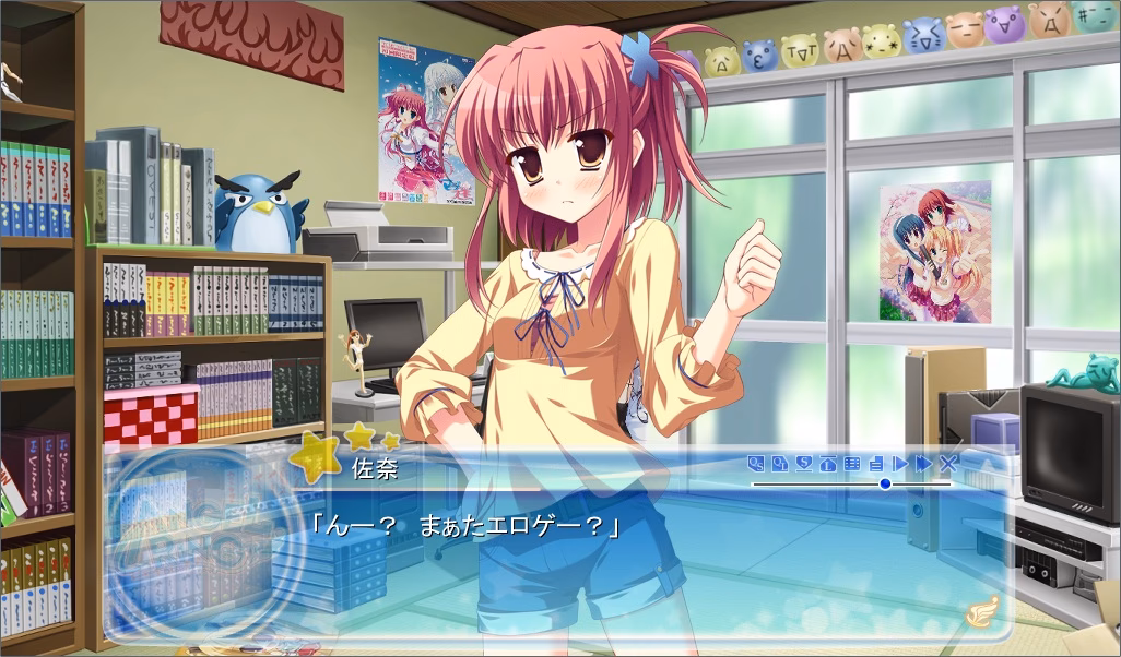 What does eroge stand for?