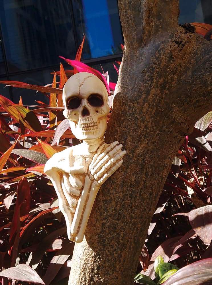 ¿Qué es la anatomía de un árbol?
