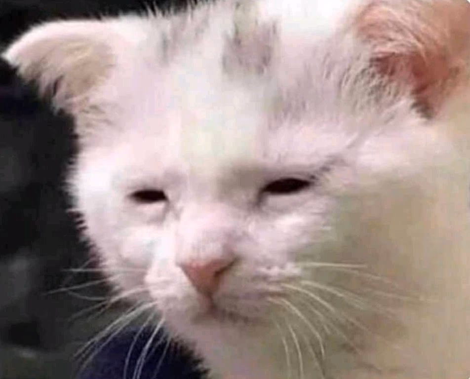 ¿Qué quiere decir Estoy cansado jefe?