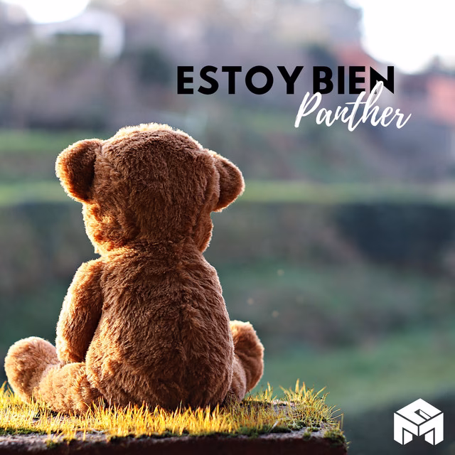 ¿Cuál es el significado de estoy?