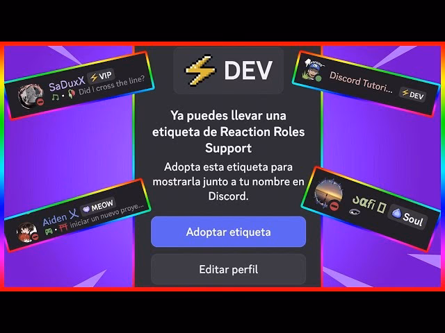 ¿Dónde puedo ver los servidores de Discord?