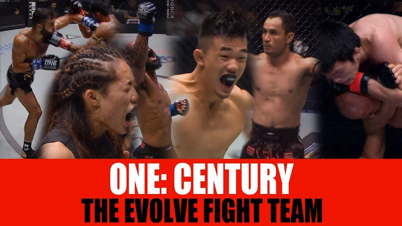 What is Fighting Evolved?