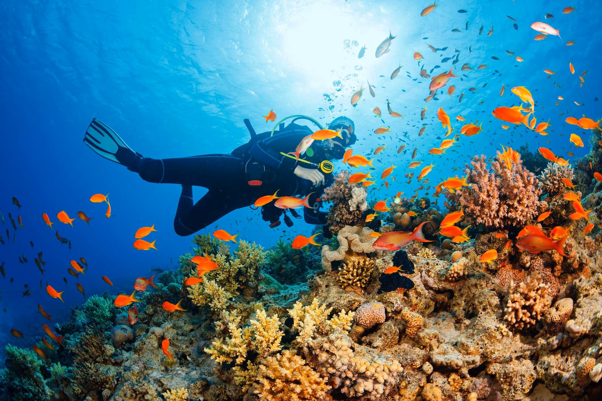 ¿Por qué es importante explorar el océano?