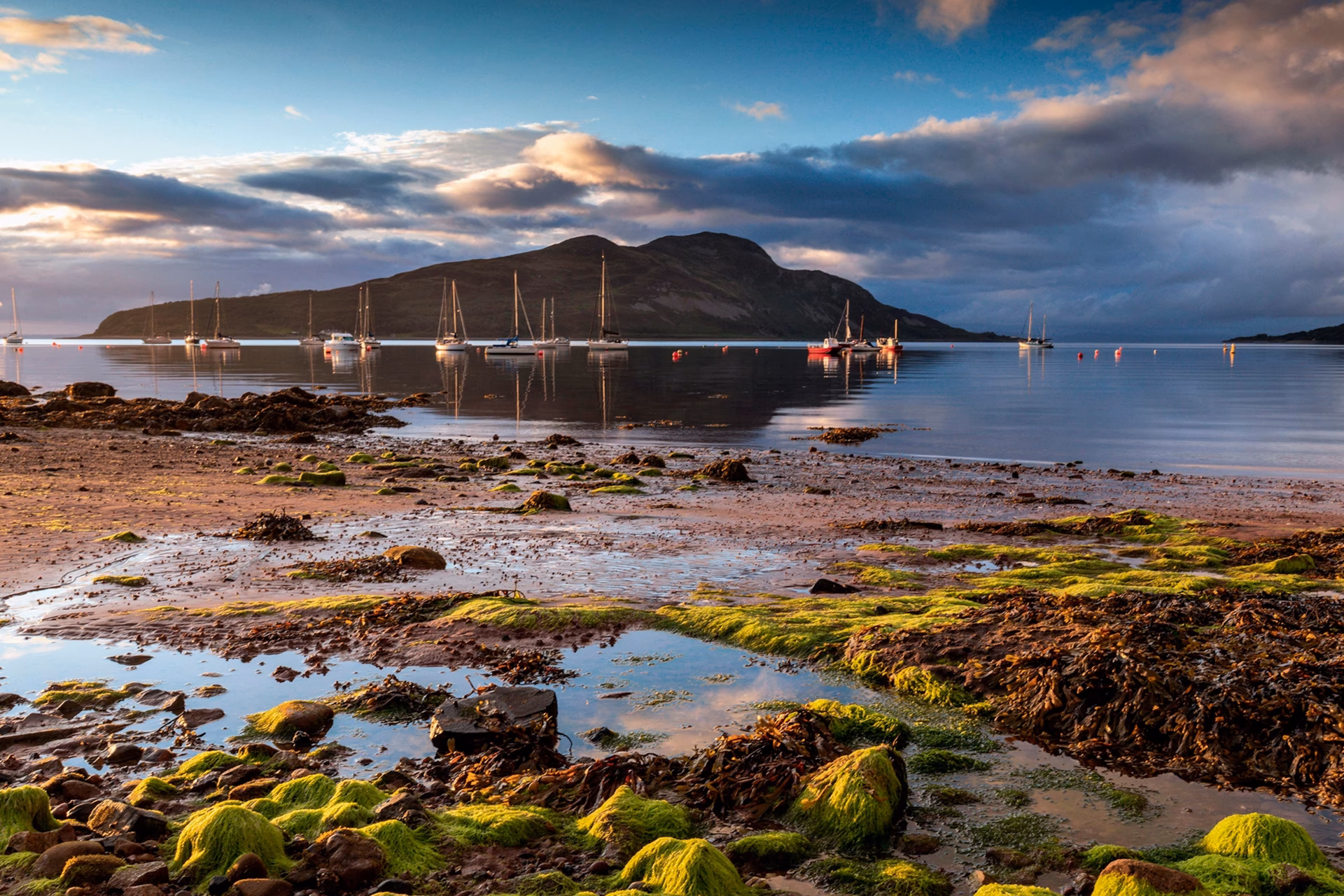 Where is Arran located?